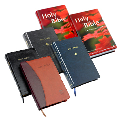 New Rsv Bible Download