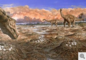 Testing ideas about the evolution of long-necked sauropod dinosaurs 
