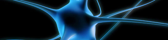 An image of a neuron