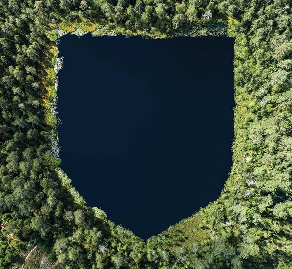Forest surrounds a lake shaped like a Cambridge shield