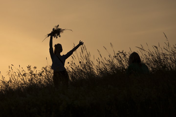 Midsummer Mayhem