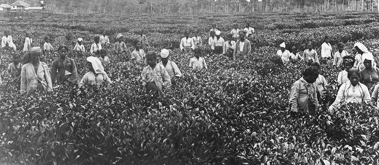 COLONIALISM FACTS AND INFORMATION visual data 7