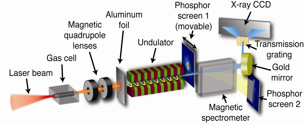 Layout of the LPA-FEL facility