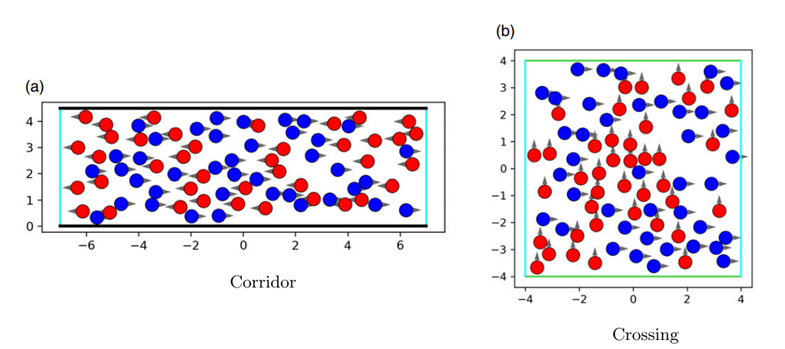 Gradient-based parameter calibration of an anisotropic interaction model for pedestrian dynamics