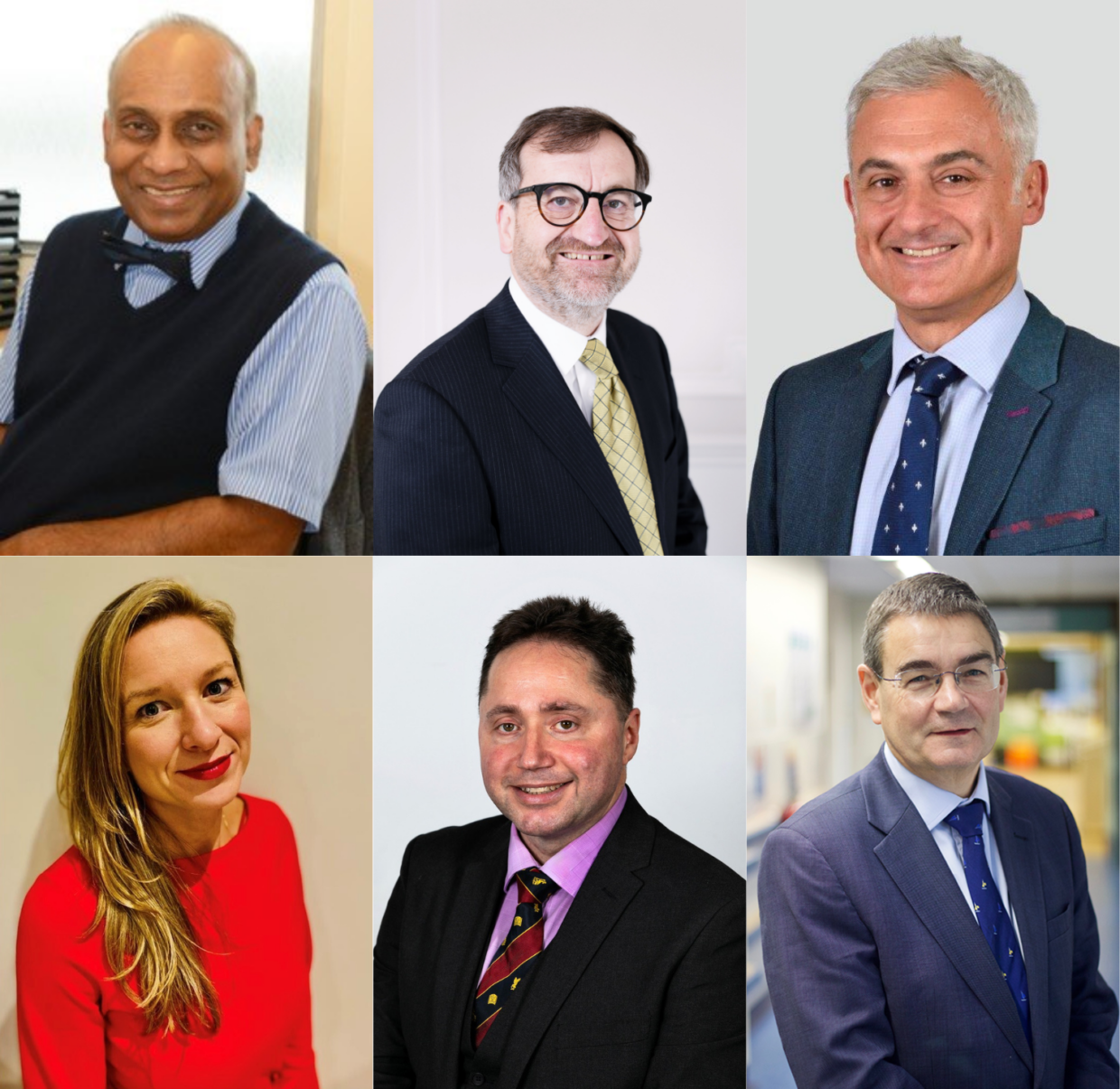 Professor Nihal Gurusinghe, Professor Peter Hutchinson, Mr Ioannis Fouyas, Miss Naomi Slator, Professor Ian Kamaly-Asl and Professor Peter Whitfield are all series editors of Elements in Emergency Neurosurgery, working to present a curated collection of commonly encountered urgent conditions in neurosurgical practice.