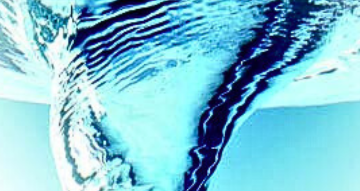 JFM Rapids The Editors’ Insights 2024 « Mathematics « Cambridge Core Blog