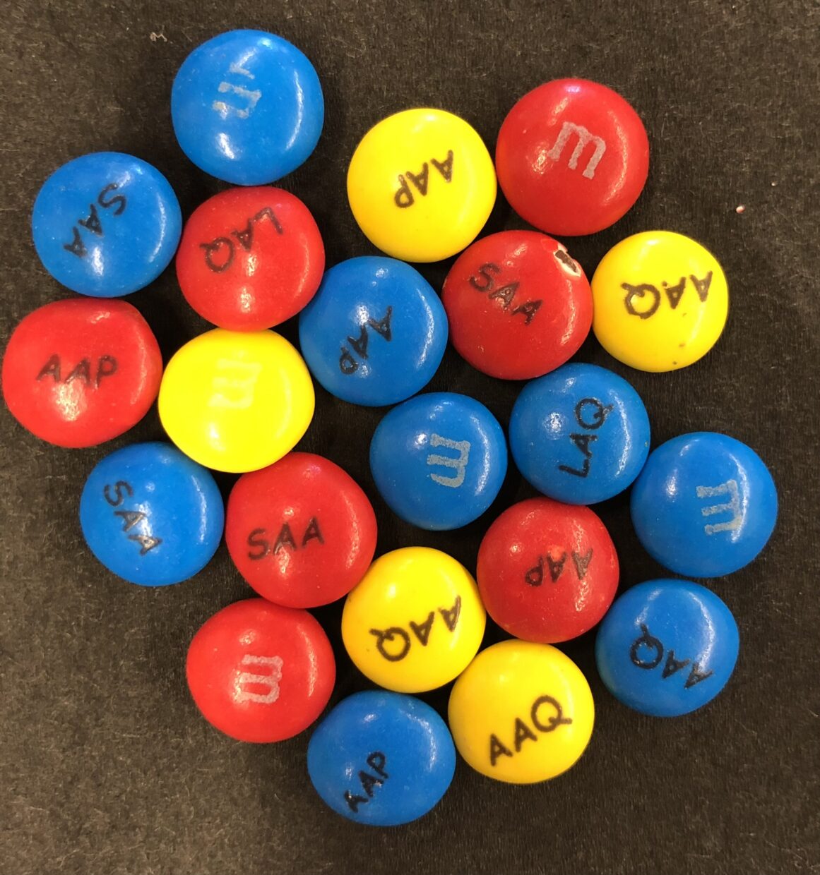 Branded M&Ms, enjoyed by delegates at the SAA Annual Meeting.