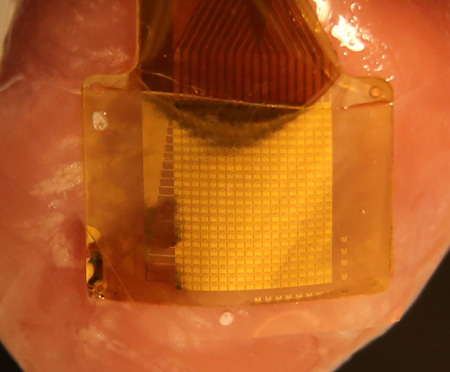 Flexible Si sensors