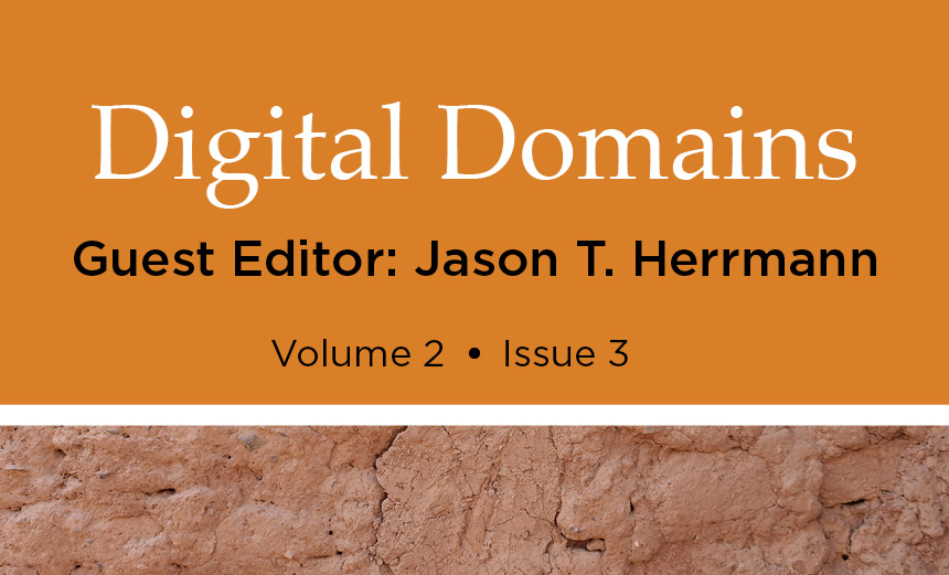 AAP Digital Domains Special Issue