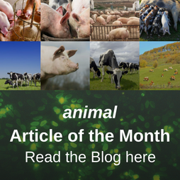 animal Article of the Month
