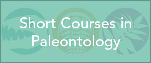 Short Courses in Paleontology