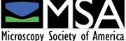 MSA logo 180