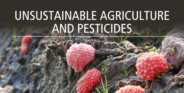 Agriculture and pesticides