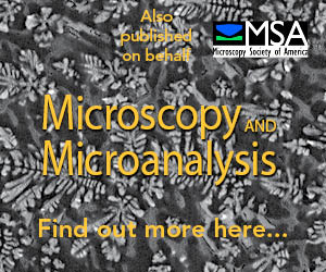 Microscopy and Microanalysis MAM button