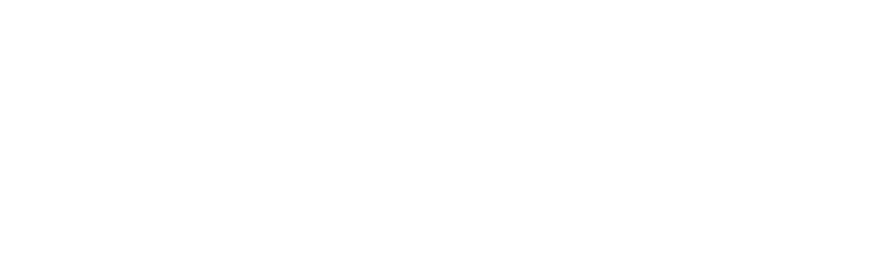 DS logo white