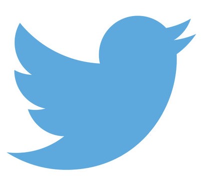 twitter logo, white background