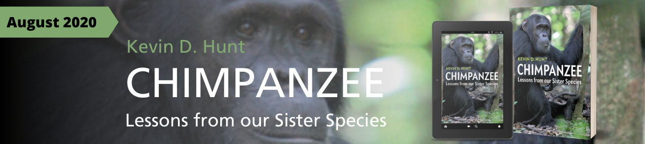 Chimpanzee Banner
