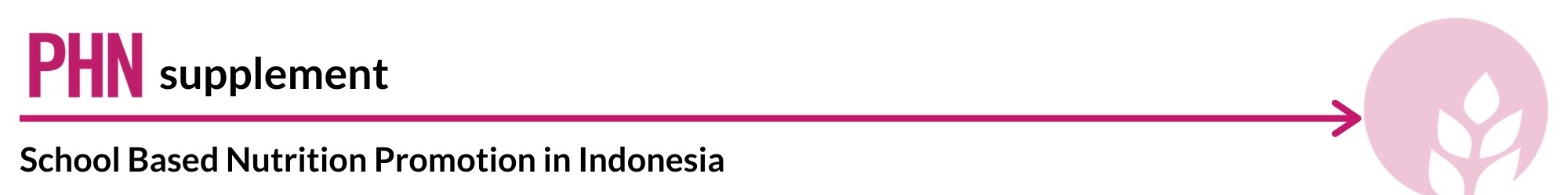School Based Nutrition Promotion in Indonesia Core Banner