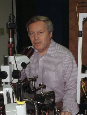 Vladimir Yankov
