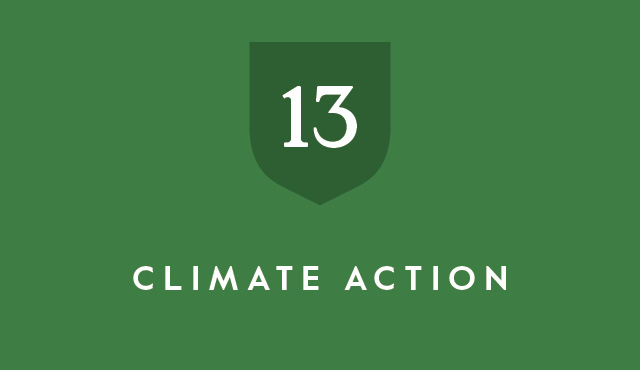 SDG 13 Climate Action