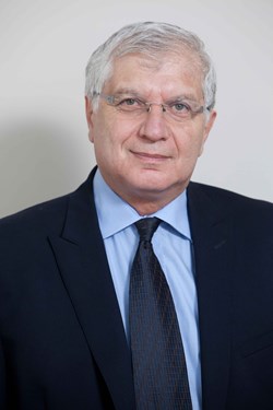 Professor Ron Kenett