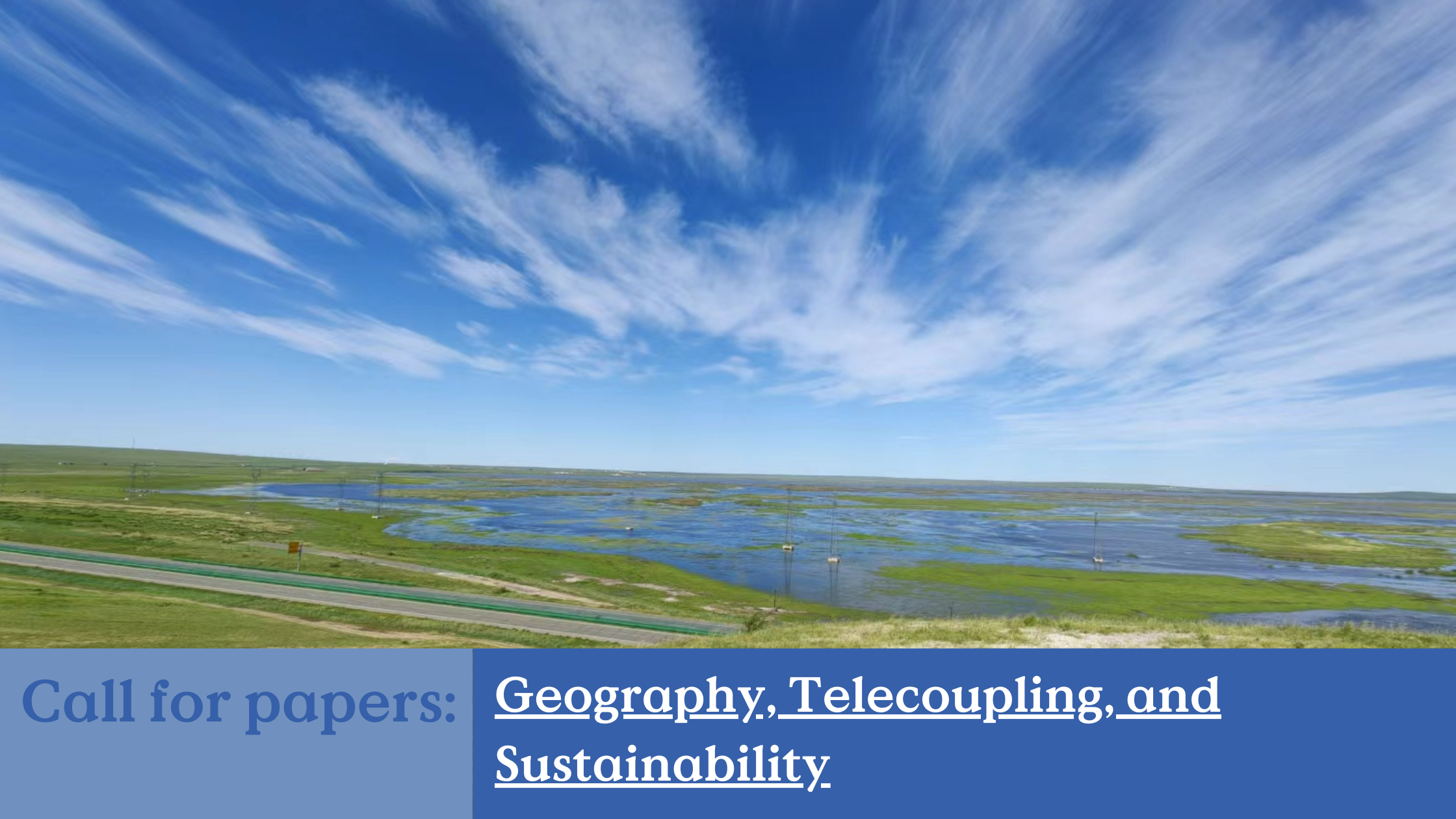 Geography, Telecoupling, and Sustainability