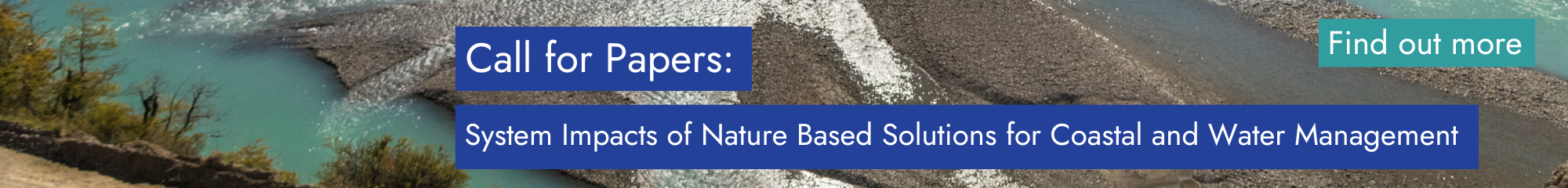 Special Issue - System impacts of nature based solutions 