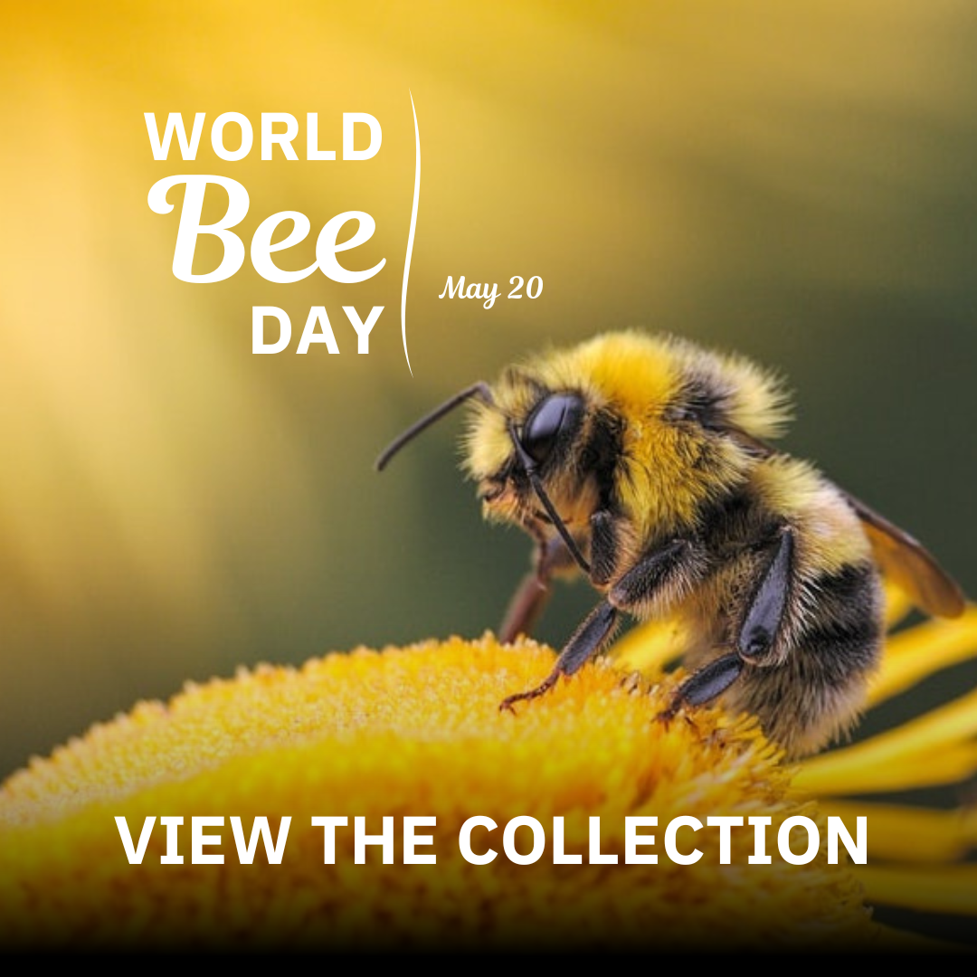 World Bee Day 2024 Collection thumbnail