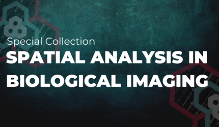 BLG Spatial Analysis Special Issue