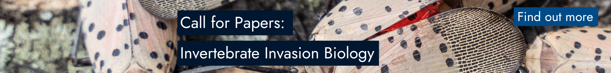 Invertebrate Invasion Biology