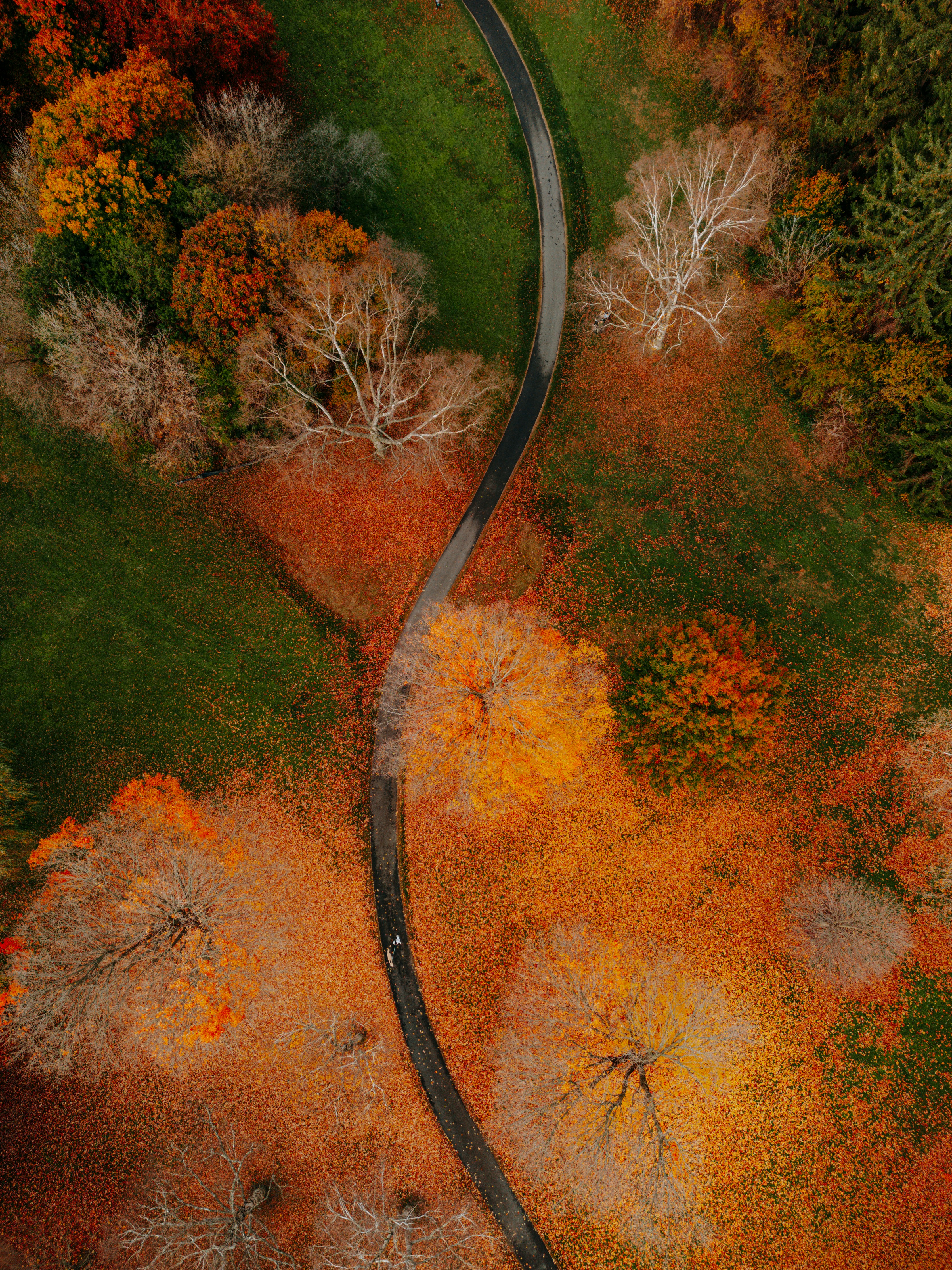Special collection on the Acceleration of Sustainability Transformations