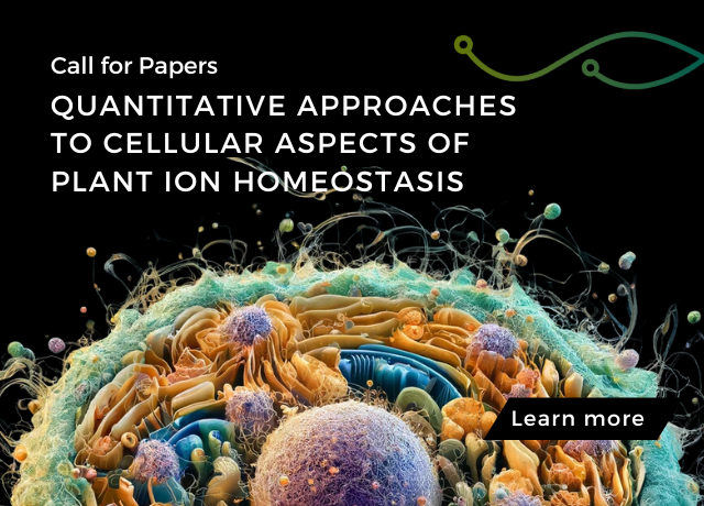 Quantitative Approaches to Cellular Aspects of Plant Ion Homeostasis