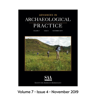 The Volume 7 - Issue 4 - November 2020 cover of AAP