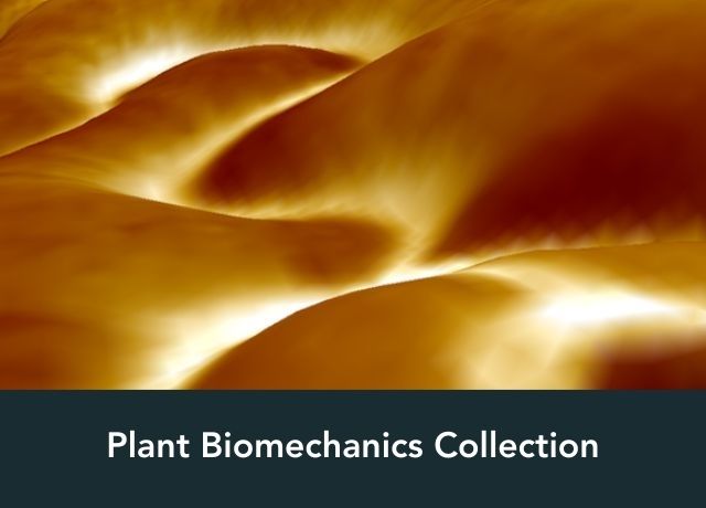 Plant Biomechanics Collection