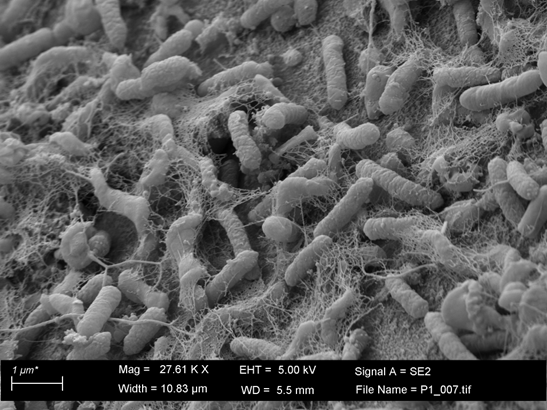 Critical Metals - GBI Collection Image