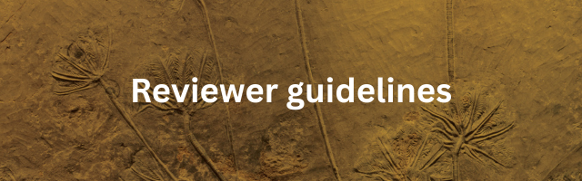 Reviewer Guidelines JP