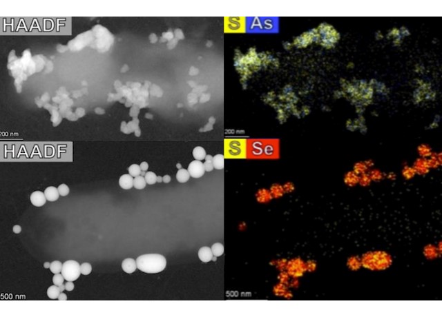 GBI bioprocessing image