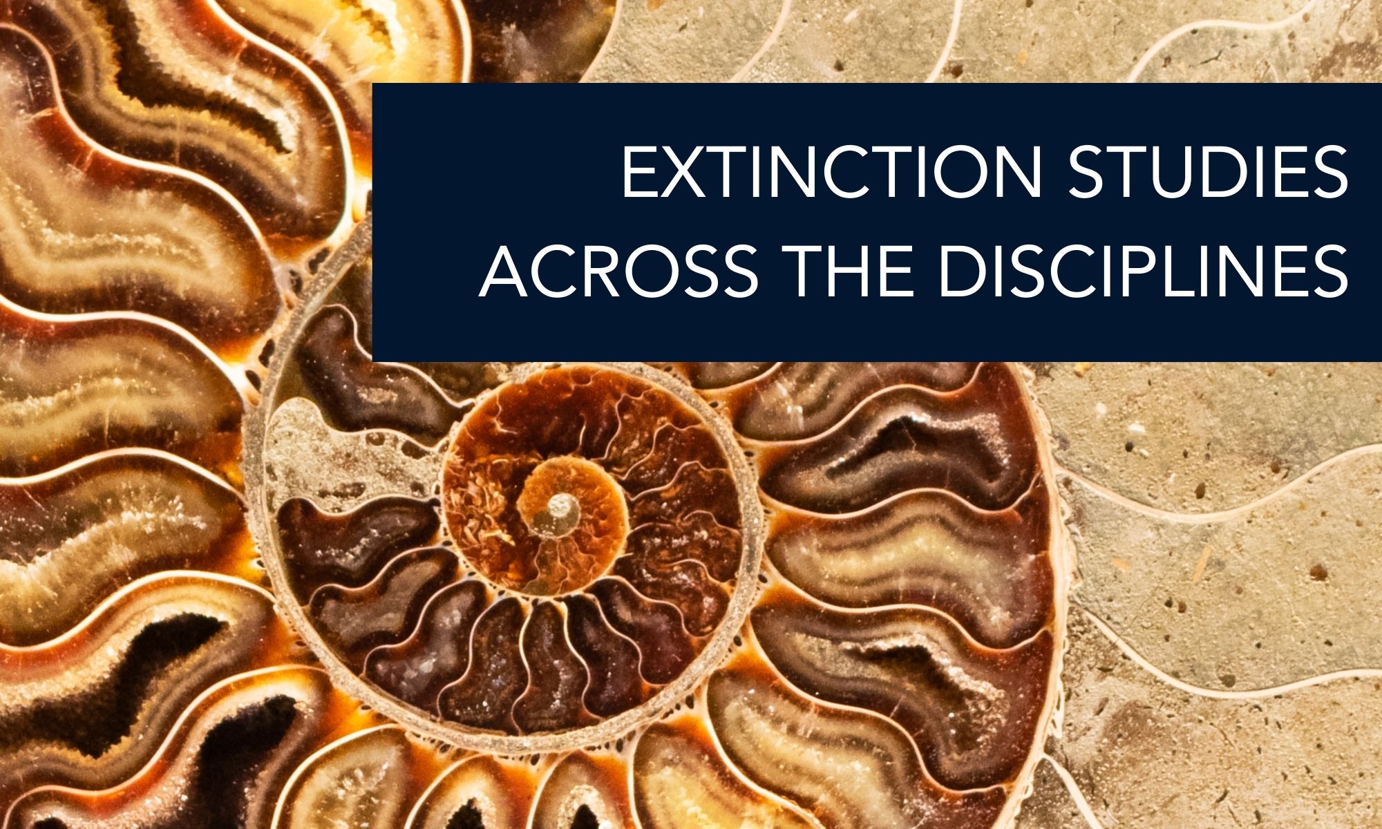 Extinction Studies across the Disciplines