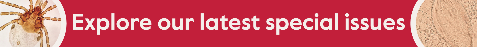 PAR Special Issues Banner 2026