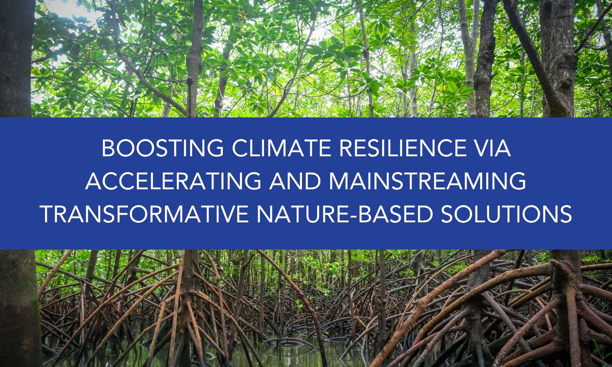 Boosting climate resilience via accelerating and mainstreaming transformative Nature-based Solutions