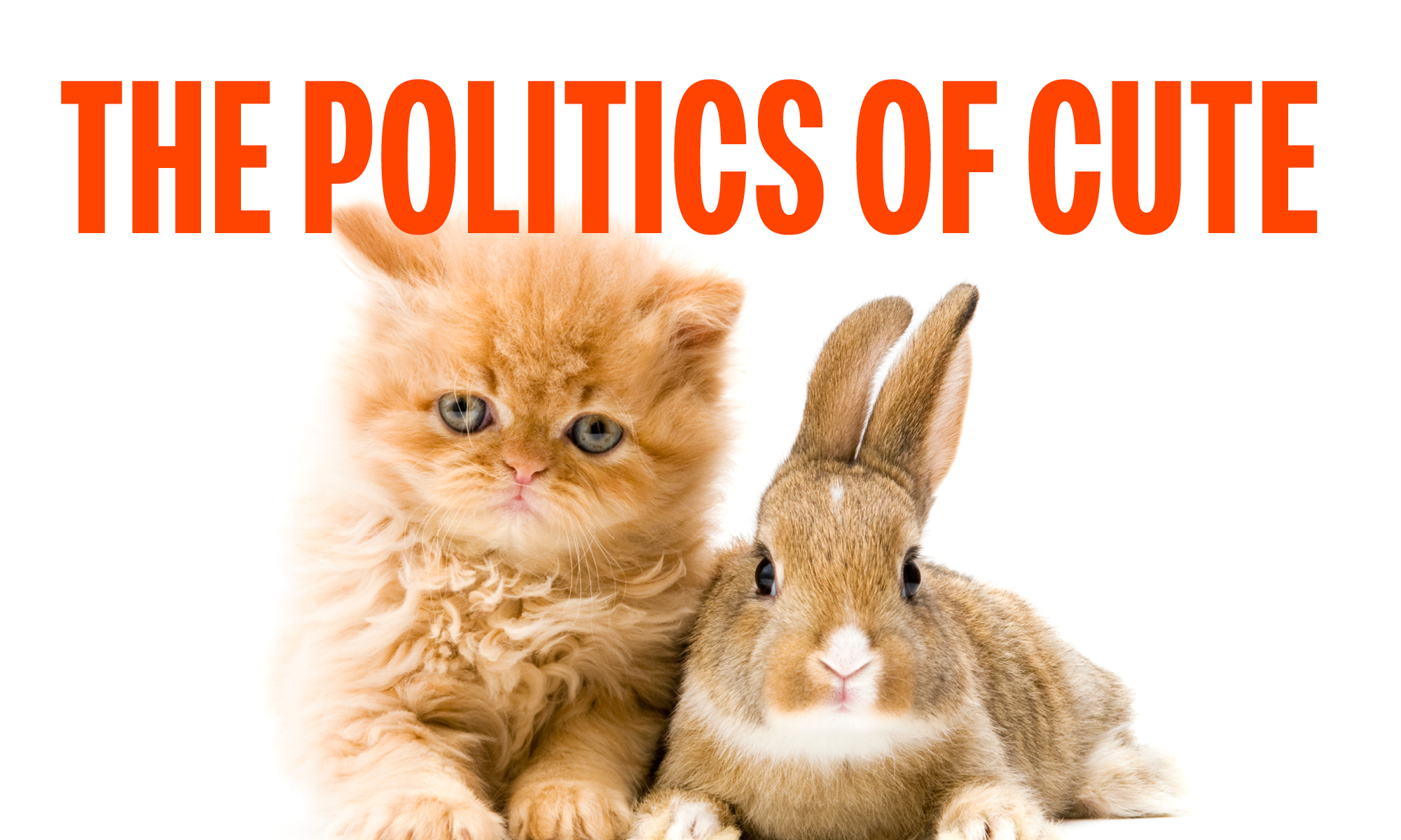 The Politics of Cute