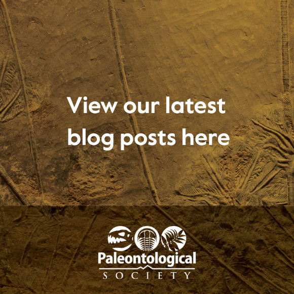 View the latest JPA blog posts here