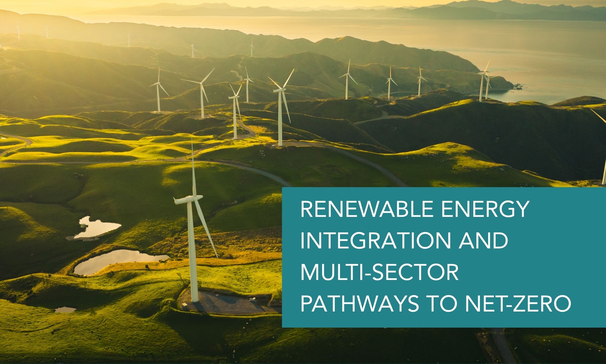 Renewable Energy Integration and Multi-Sector Pathways to Net-Zero
