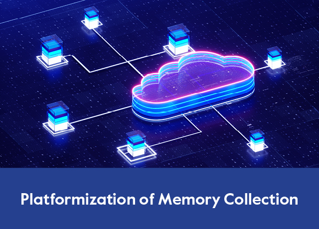 MEM platformization of memory collection