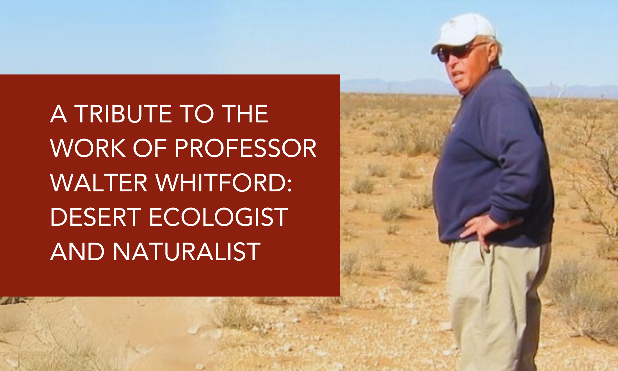 DRY A tribute to the work of Professor Walter Whitford: Desert Ecologist and Naturalist