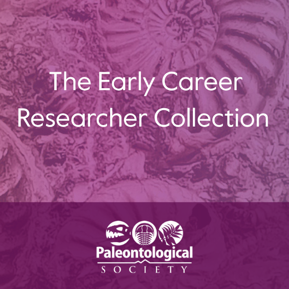 ECR Collection graphic for side bar PAB