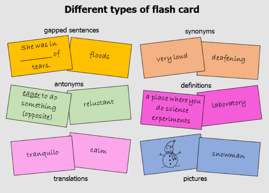 Different Types of flash card - World of Better Learning