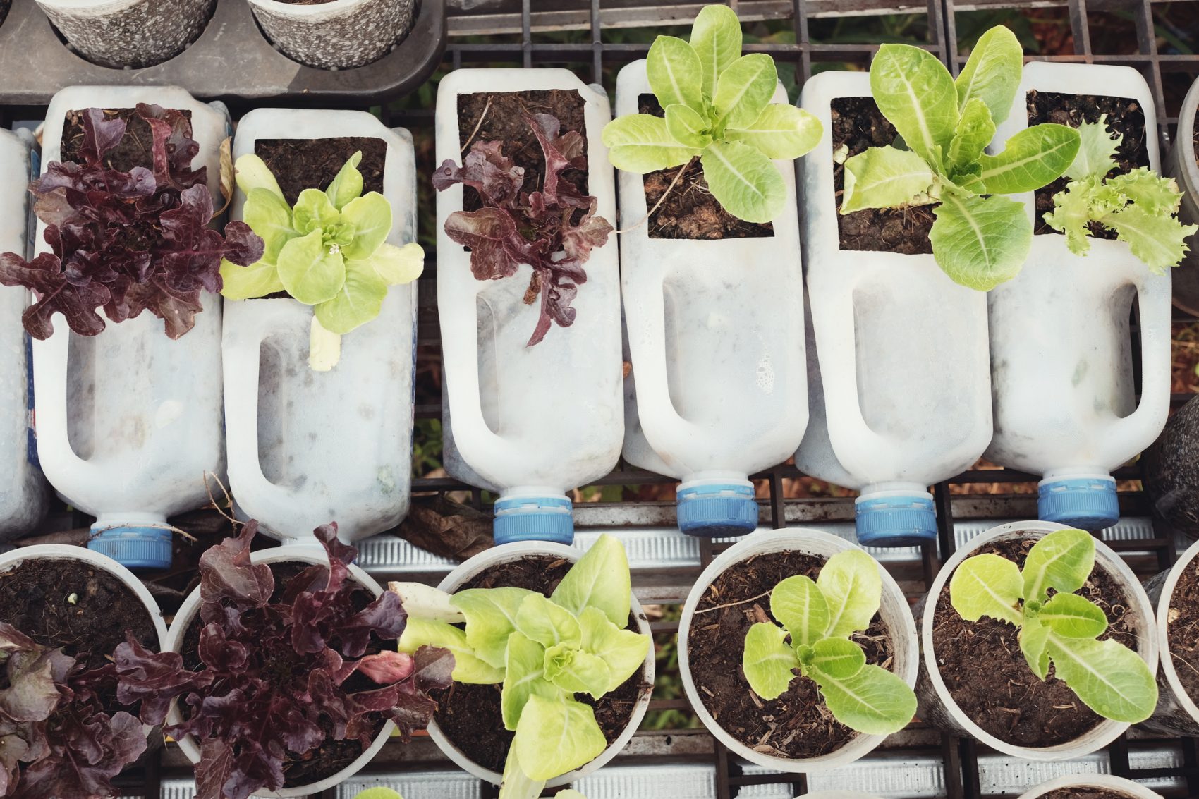 upcycled_plant_pots