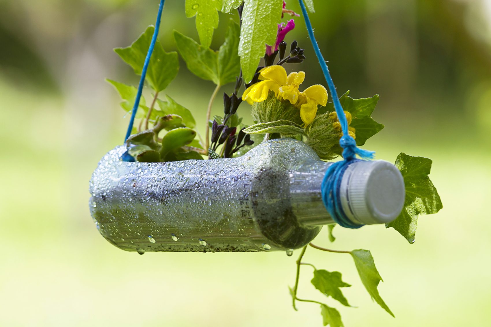 Upcycled plastic bottle plant pot | World of Better Learning ...