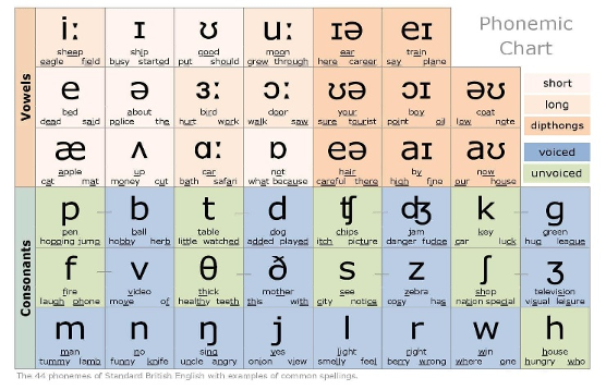 speech sounds in phonetics